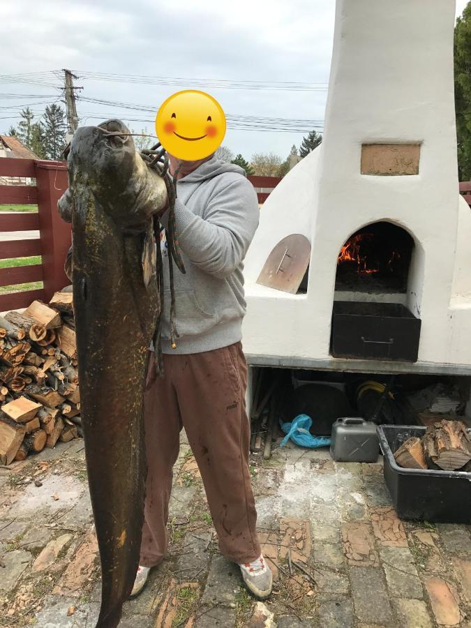 Intertranscoop Lake House Vámosszabadi Eksteriør billede