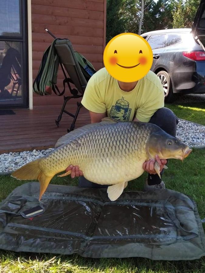Intertranscoop Lake House Vámosszabadi Eksteriør billede